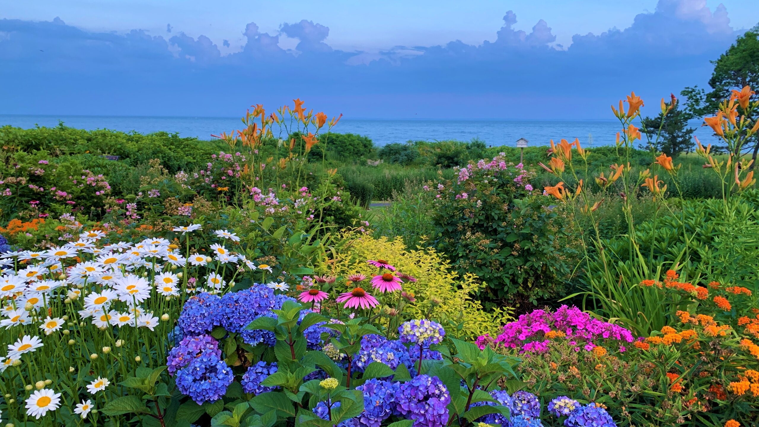 Connecticut Community Garden overlooking Long Island Sound
